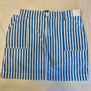 Blue and White Striped Skirt